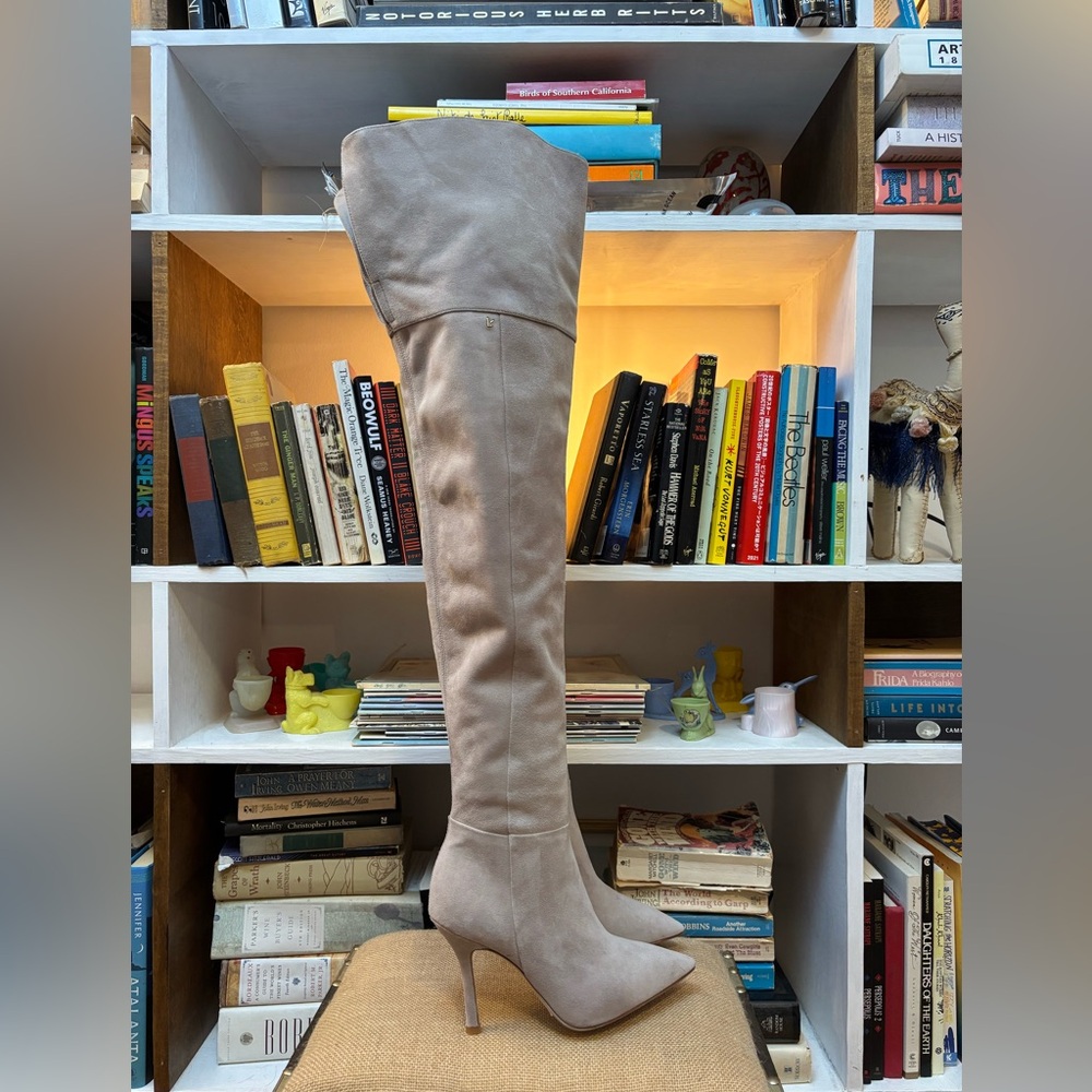 Larroude Kate Over the knee boots